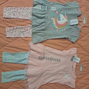 2t Baby Girl Outfit Set!
